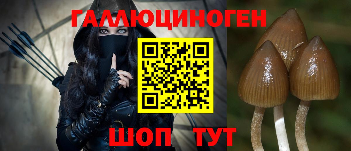 Галлюциногенные грибы Cubensis  Вход с VPN  Мытищи 